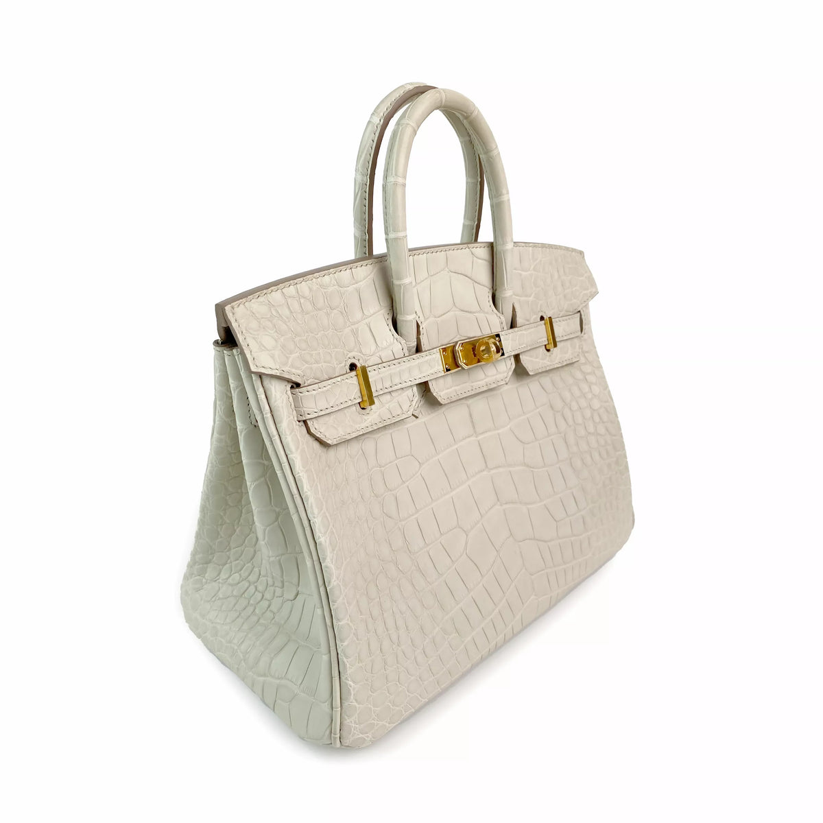 Hermès Birkin 25 Beton Matte Alligator with Gold Hardware Left
