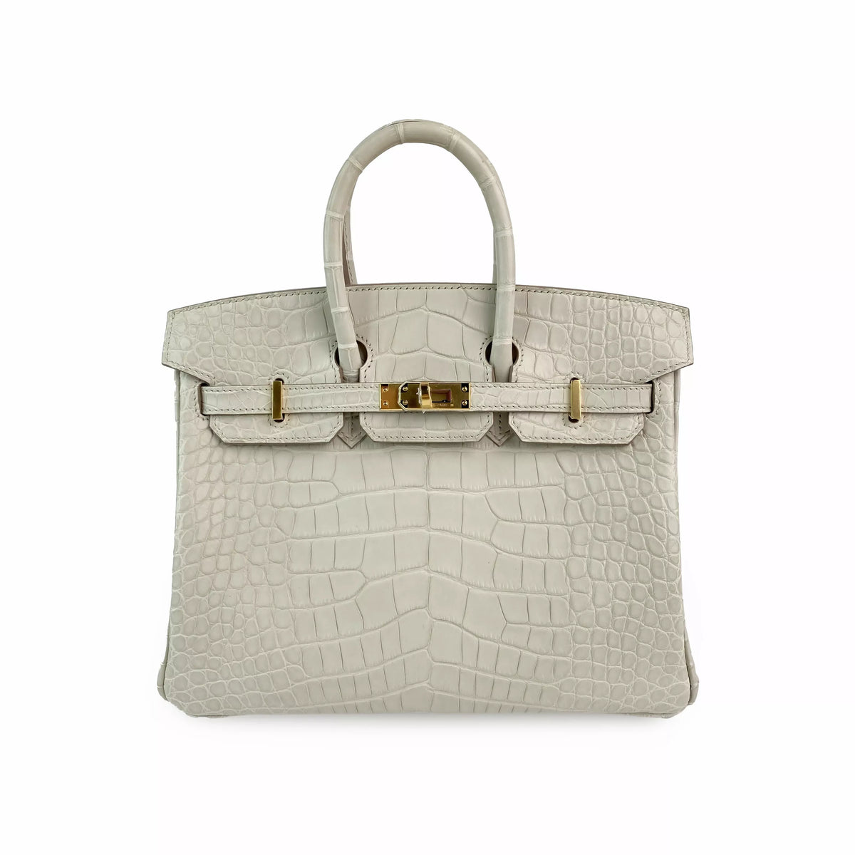 Hermès Birkin 25 Beton Matte Alligator with Gold Hardware Front