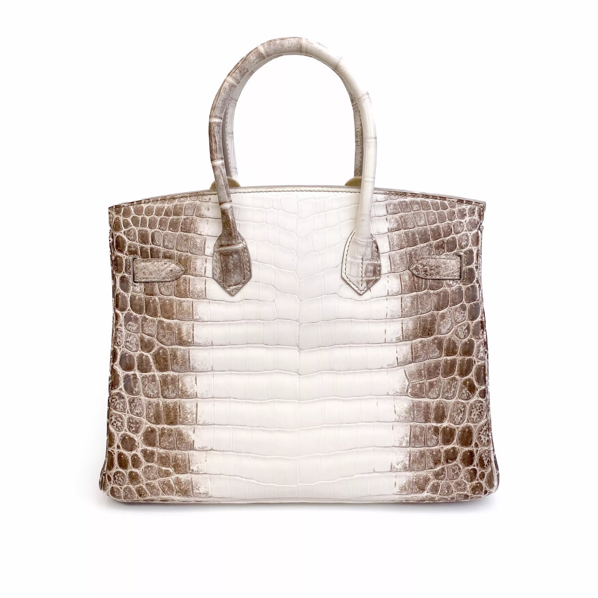 Hermès Birkin 30 Himalaya Niloticus Crocodile Diamond Palladium Hardware Back