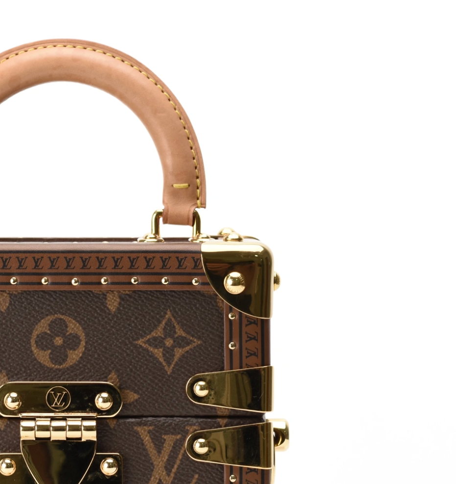 Louis Vuitton Camera Box Monogram