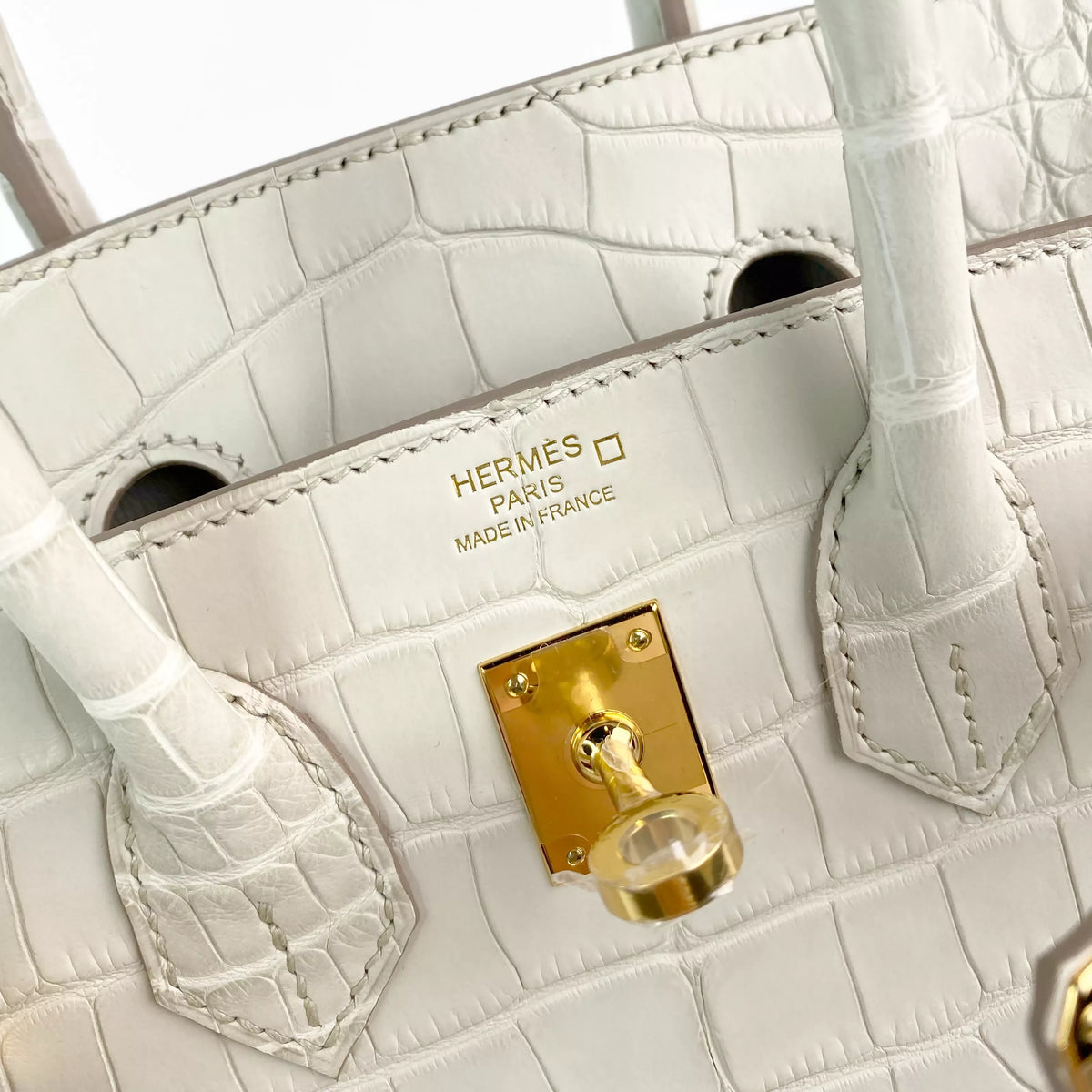 Hermès Birkin 25 Beton Matte Alligator with Gold Hardware Detail 2