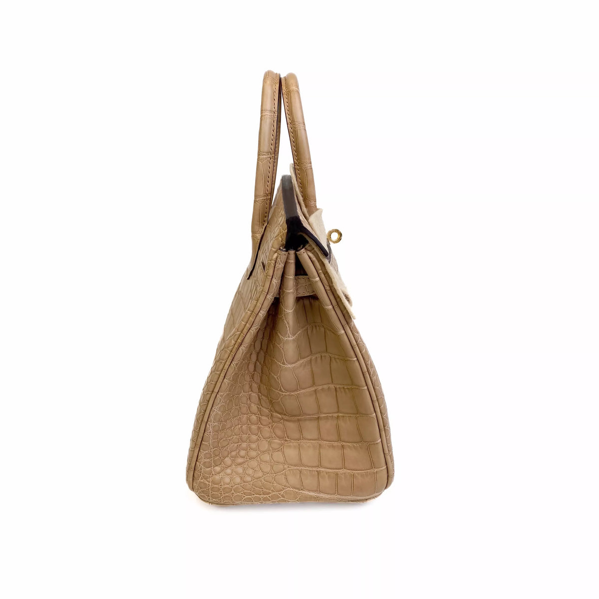 Hermes Birkin 25 Chai Matte Alligator Gold Hardware Left Side
